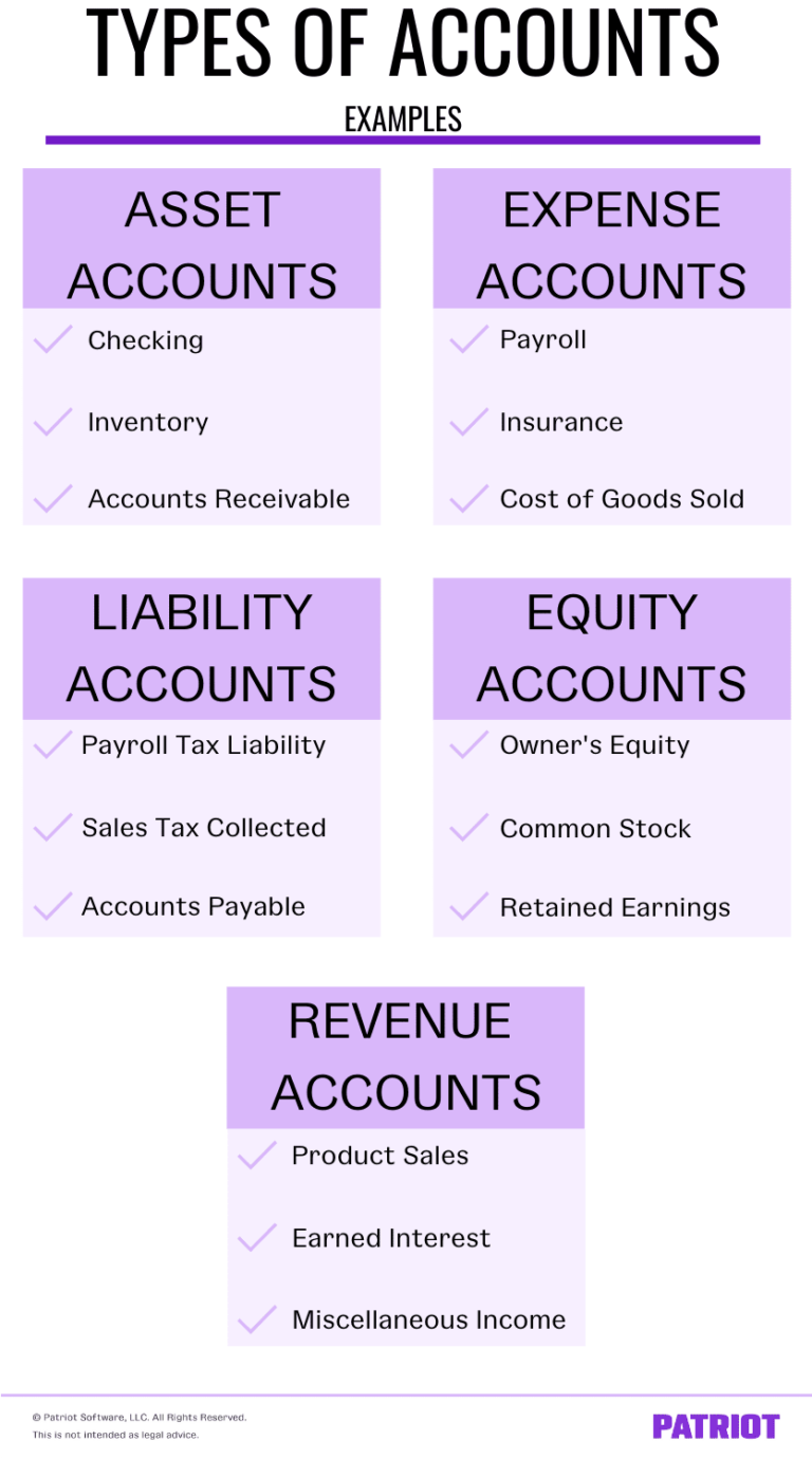 Types of Accounts in Accounting | Assets, Expenses, & More