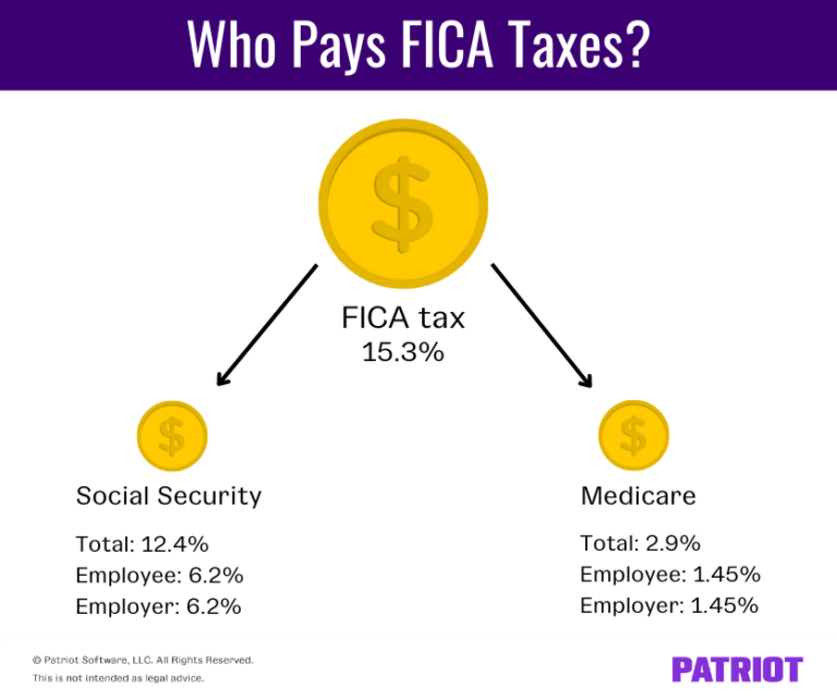 Who Pays Payroll Taxes? Employer, Employee, or Both? (+ Cheatsheet