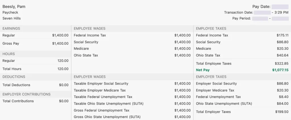 Example pay stub